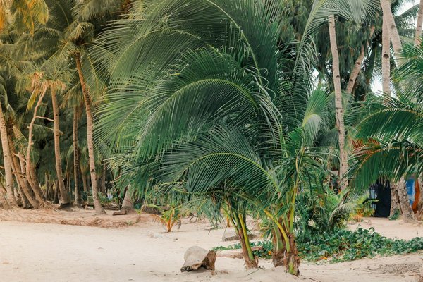 Quelles innovations sont en train de redéfinir l'industrie du tourisme ?