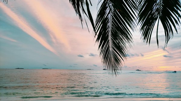 Comment le tourisme peut-il s'adapter aux nouvelles normes sanitaires ?